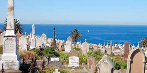 Không thể bỏ qua dự án hoa viên nghĩa trang 5 sao tại thời điểm này