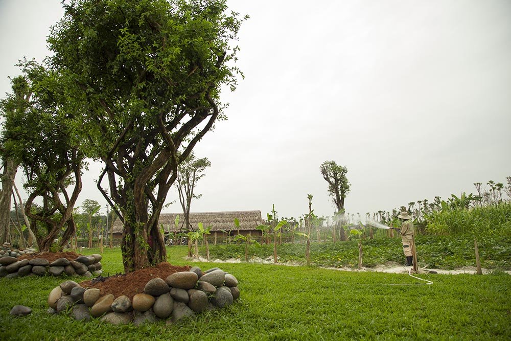 Tiến độ dự án hoa viên 5 sao