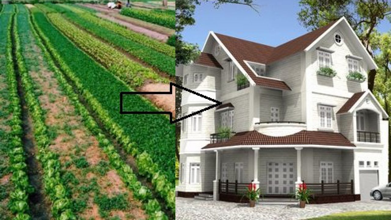 Ngày càng có nhiều nông dân chuyển đổi đất nông nghiệp sang đất ở