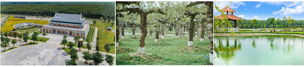 nghĩa trang Sala Garden