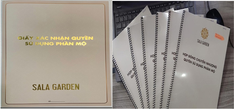 Pháp lý đi kèm bao gồm: